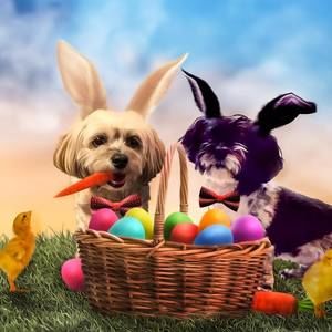 Meet your Posher, Becky